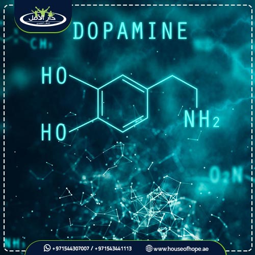 العلاقة بين الدوبامين والإدمان