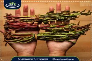 علاج ادمان القات