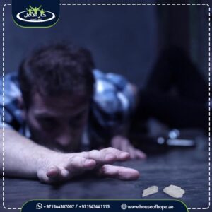 مدة بقاء الشبو