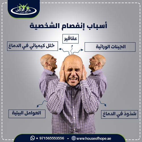 علاج انفصام الشخصية ونصائح للمساعدة على العلاج 1 أسباب انفصام الشخصية